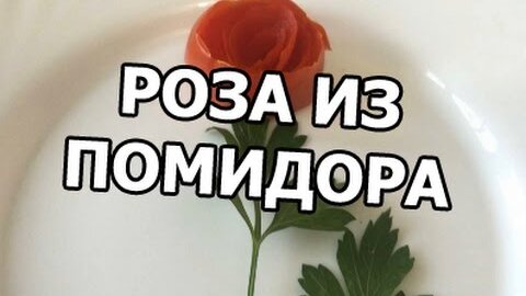 «Все были живы»: 10 способов организовать полив цветов в квартире, когда уезжаешь в отпуск