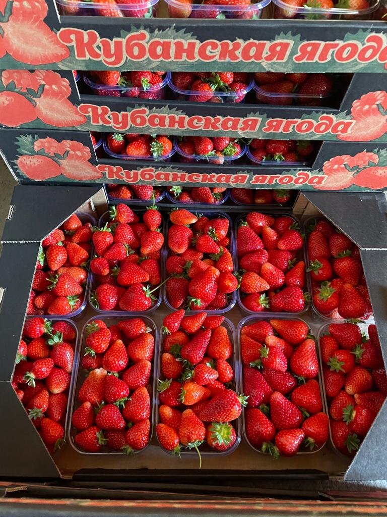 Сотр клубники Азия отзывы 