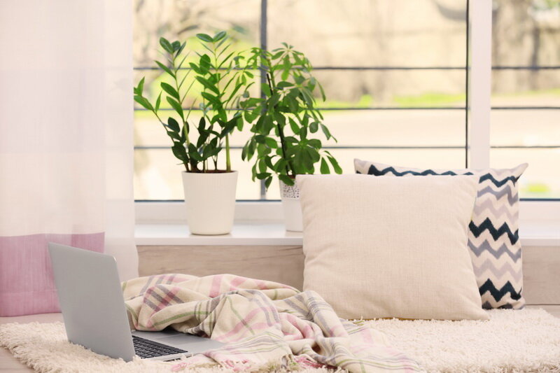 Какая обрезка подходит замиокулькасу. Иллюстрация для статьи используется по стандартной лицензии ©life-hacky.ru