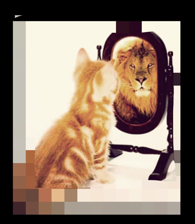 Увереность в себе! 