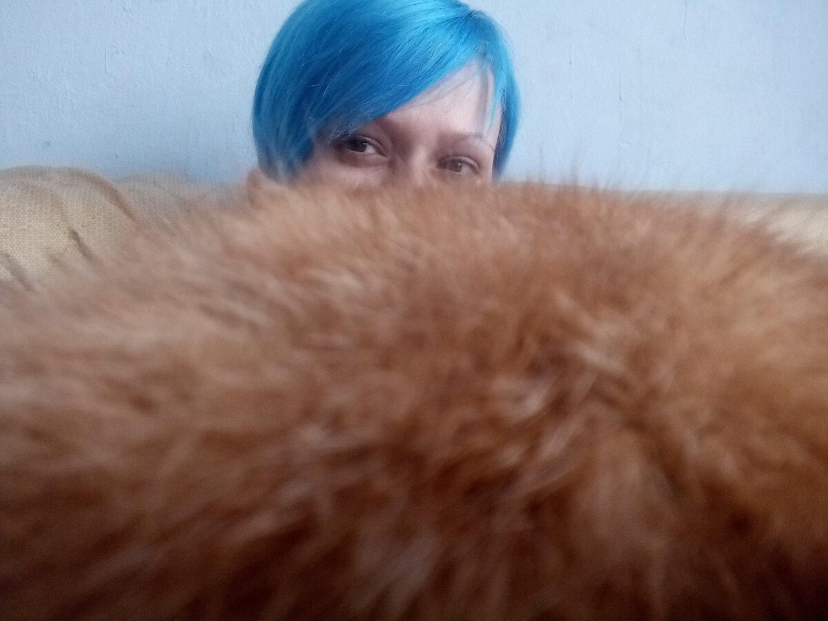 Бескрайняя гладь кота...