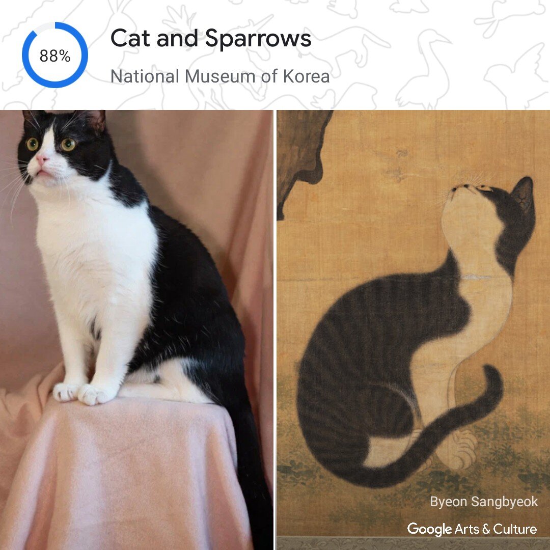 Тяпа в исполнении фотографа Валерии и похожий на него кот с картины Байон Санбёка