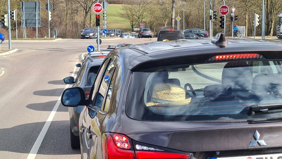 Этот вот Аматёр, первый год на пенсии. 