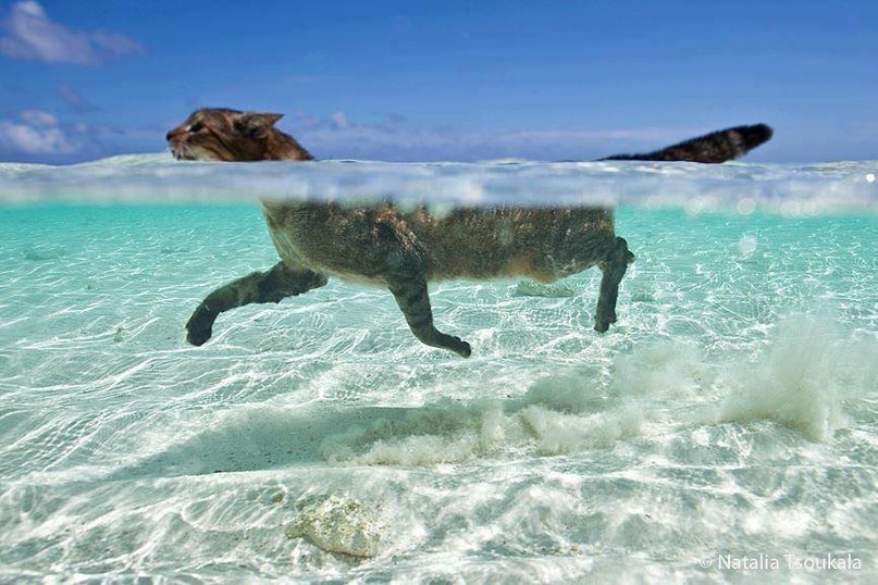 Сейчас бы хотелось так же) Фото:https://i01.fotocdn.net/s117/fca6d7f251d3901f/public_pin_l/2658639304.jpg