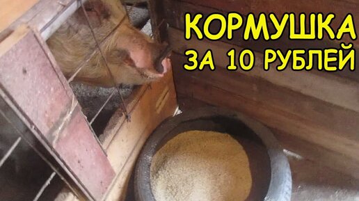 Кормушки бункерные для свиней