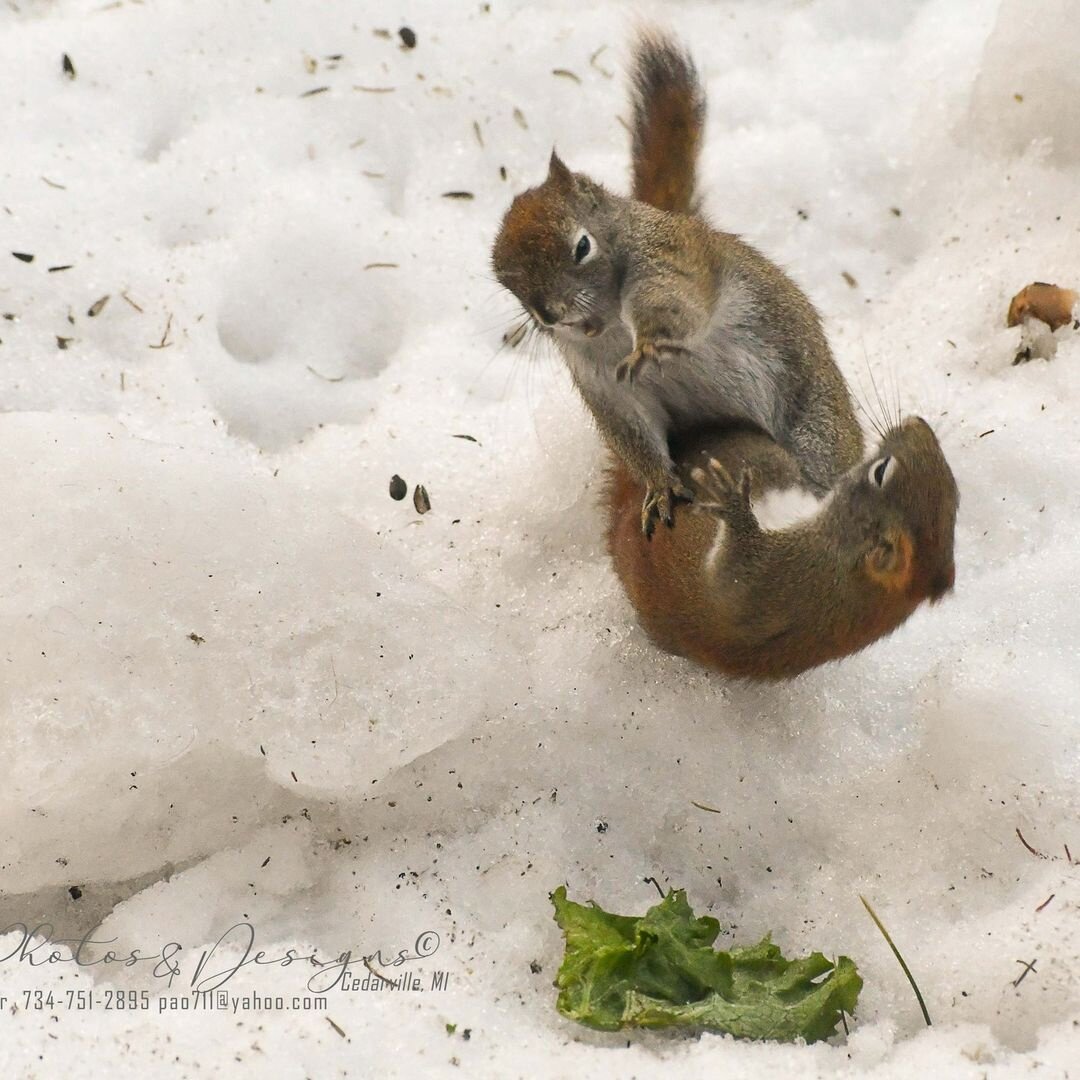 Фото: Paula Badour