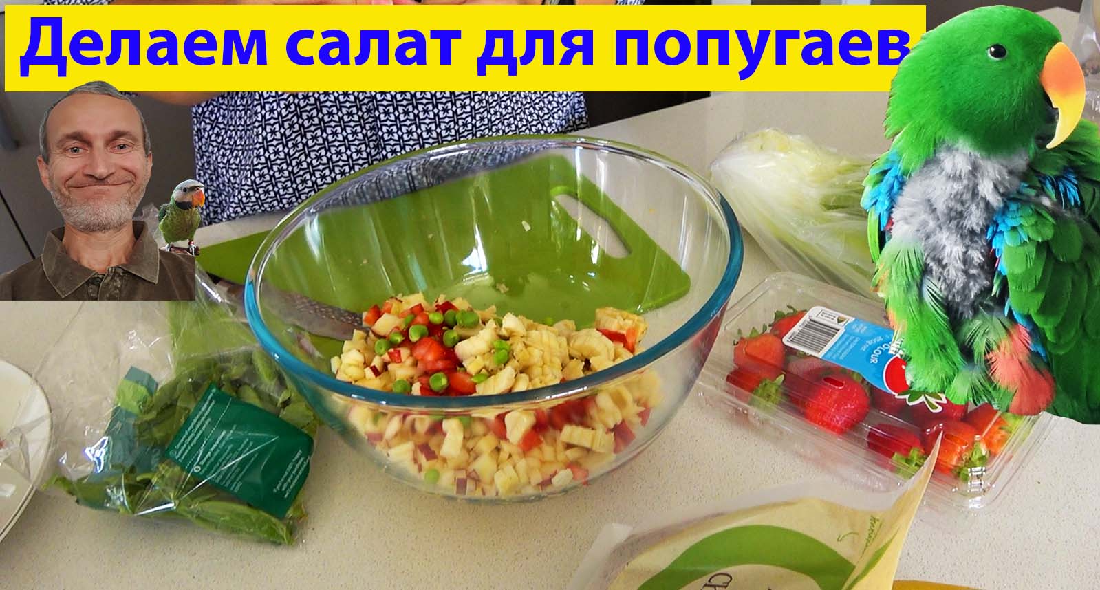 Вкусная и полезная еда для попугаев. Как не зависеть от сезонов. (видео 549)