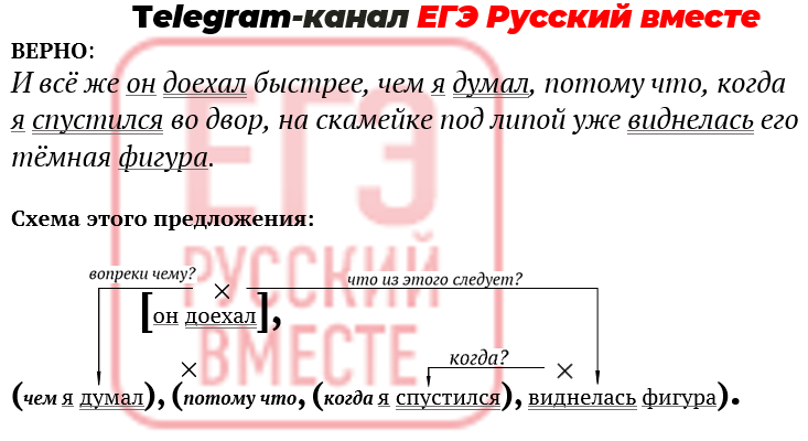 Задание 20 егэ биология