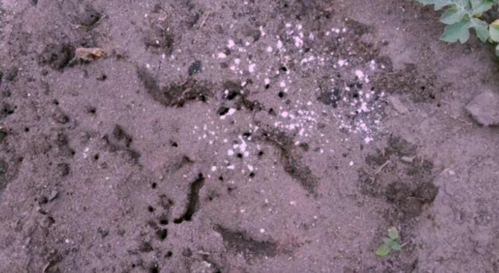 Добавьте описание