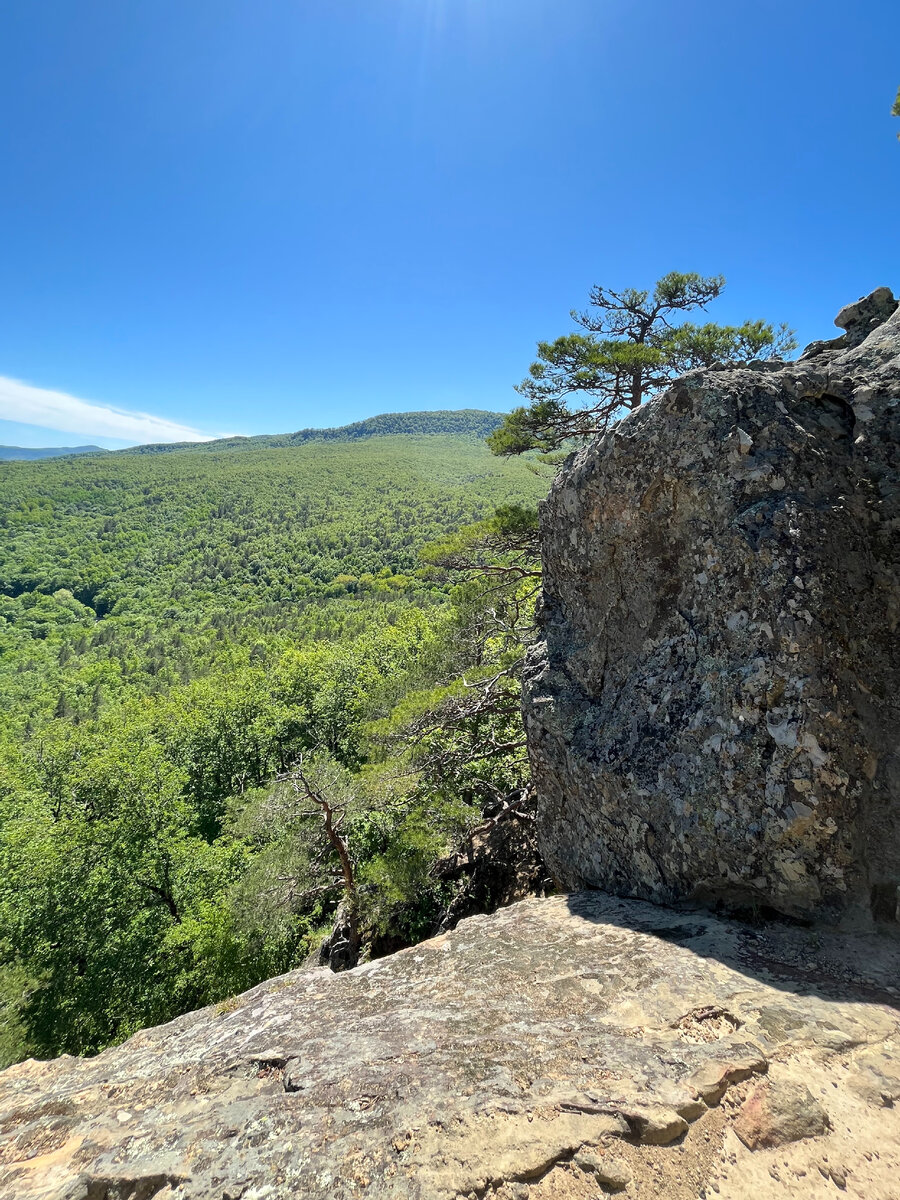 Планческие скалы краснодарский край фото