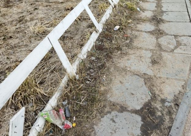 Фото: Тарас Манилык