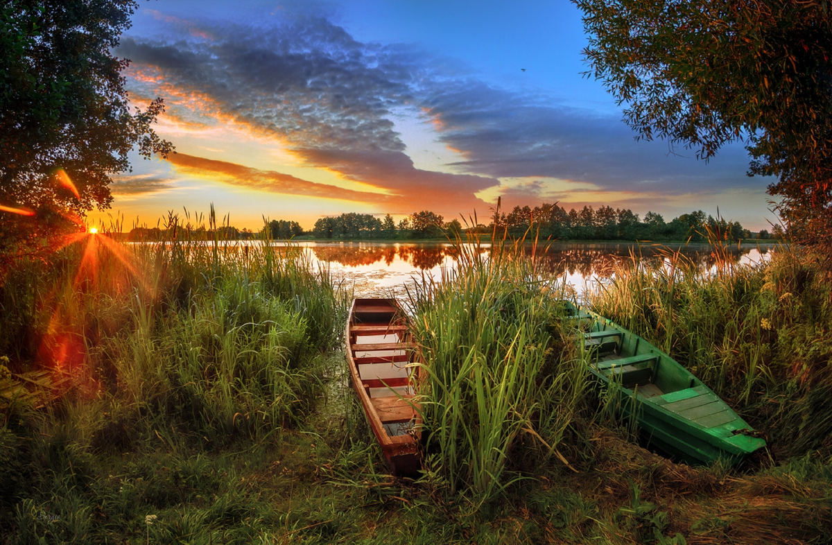 фото из открытых источников.яндекс.картинки
