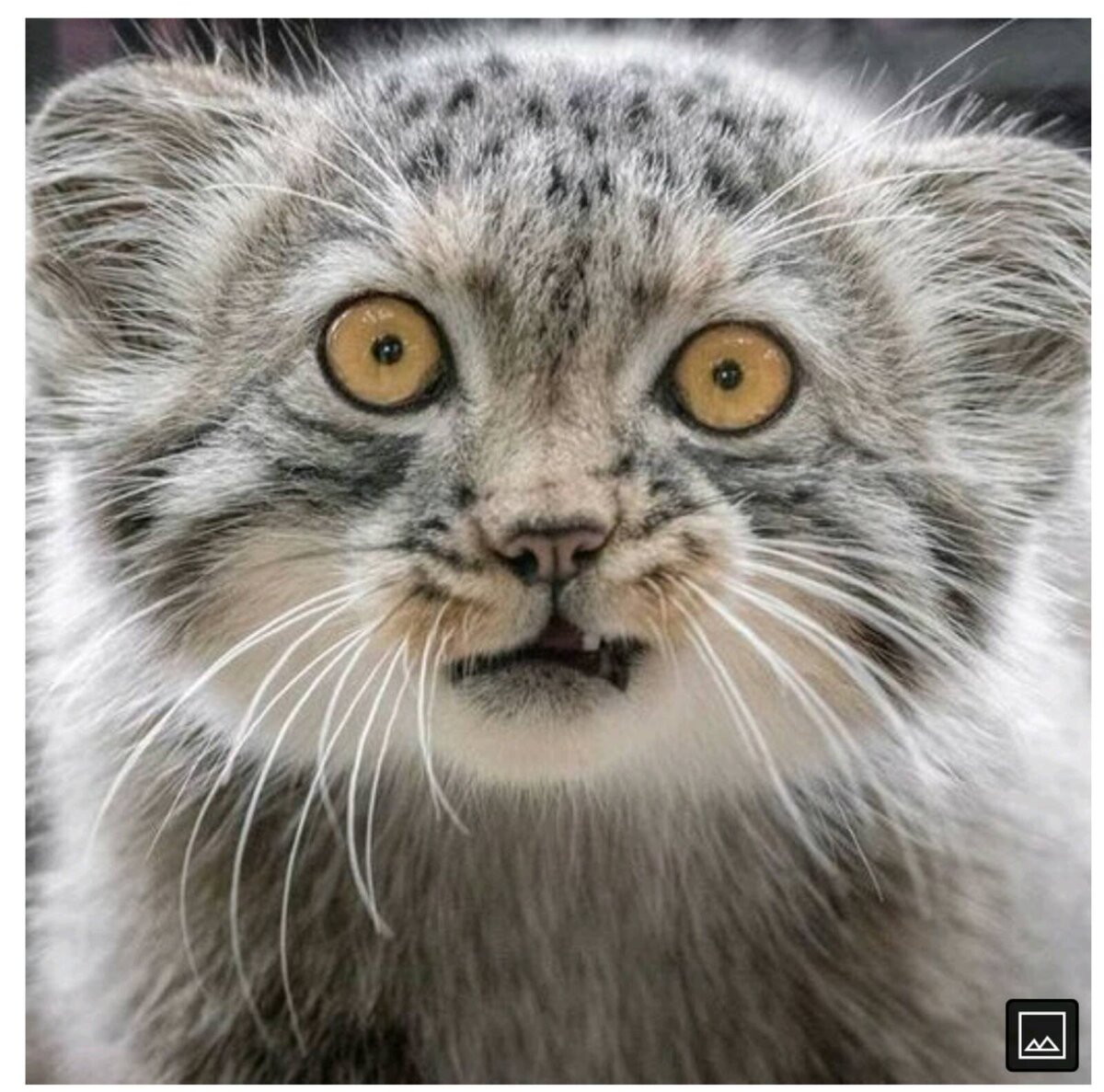 geekufa.​ru реклама

Смартфон Xiaomi Redmi 9A 2/32Gb Blue — Смартфон Xiaomi Redmi 9A
Подробнее