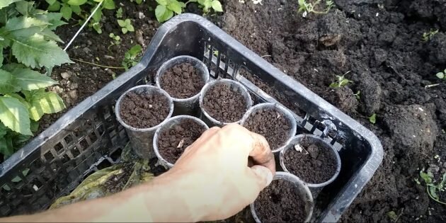 Кадр: Ранчо 39 / YouTube📷
