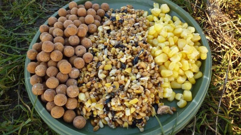 Прикормка для рыбы