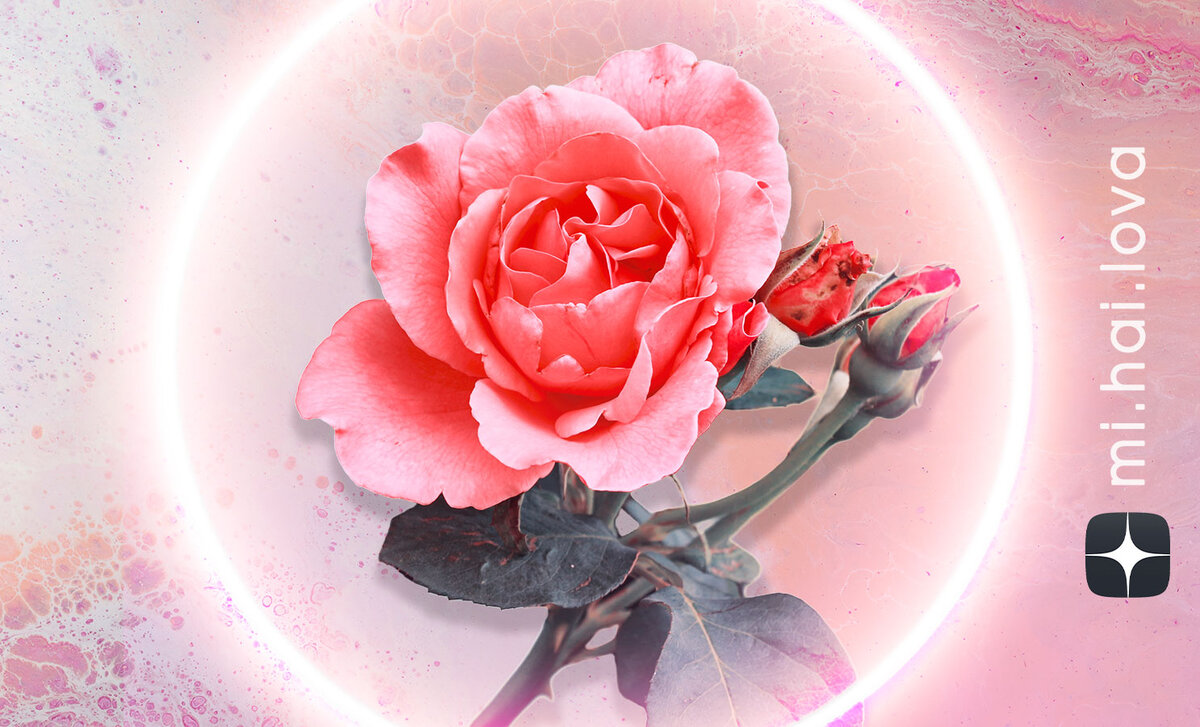 Иллюстрация Екатерины Михайловой. Источник изображения: Unsplash, фотограф Pawel Czerwinski