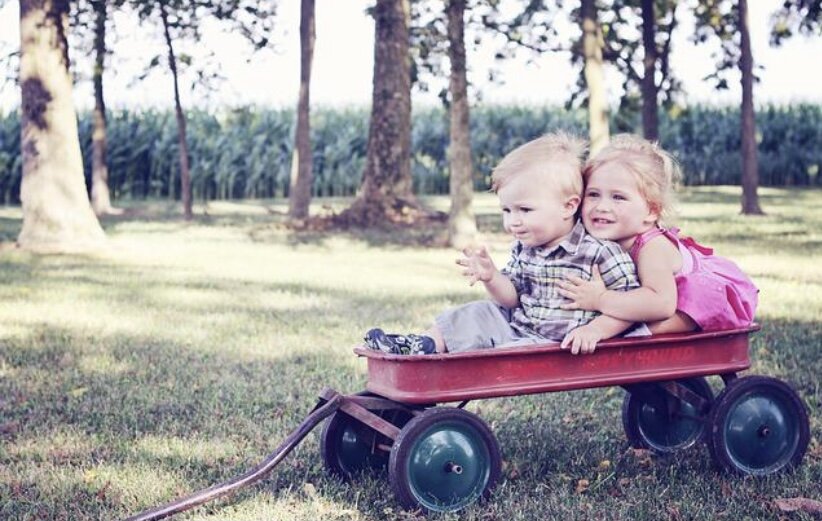    Фото: pixabay.com