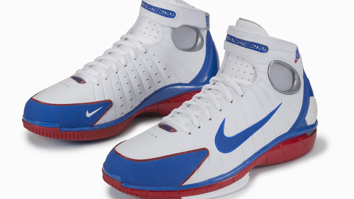Nike alpha project basketball shoes hot sale