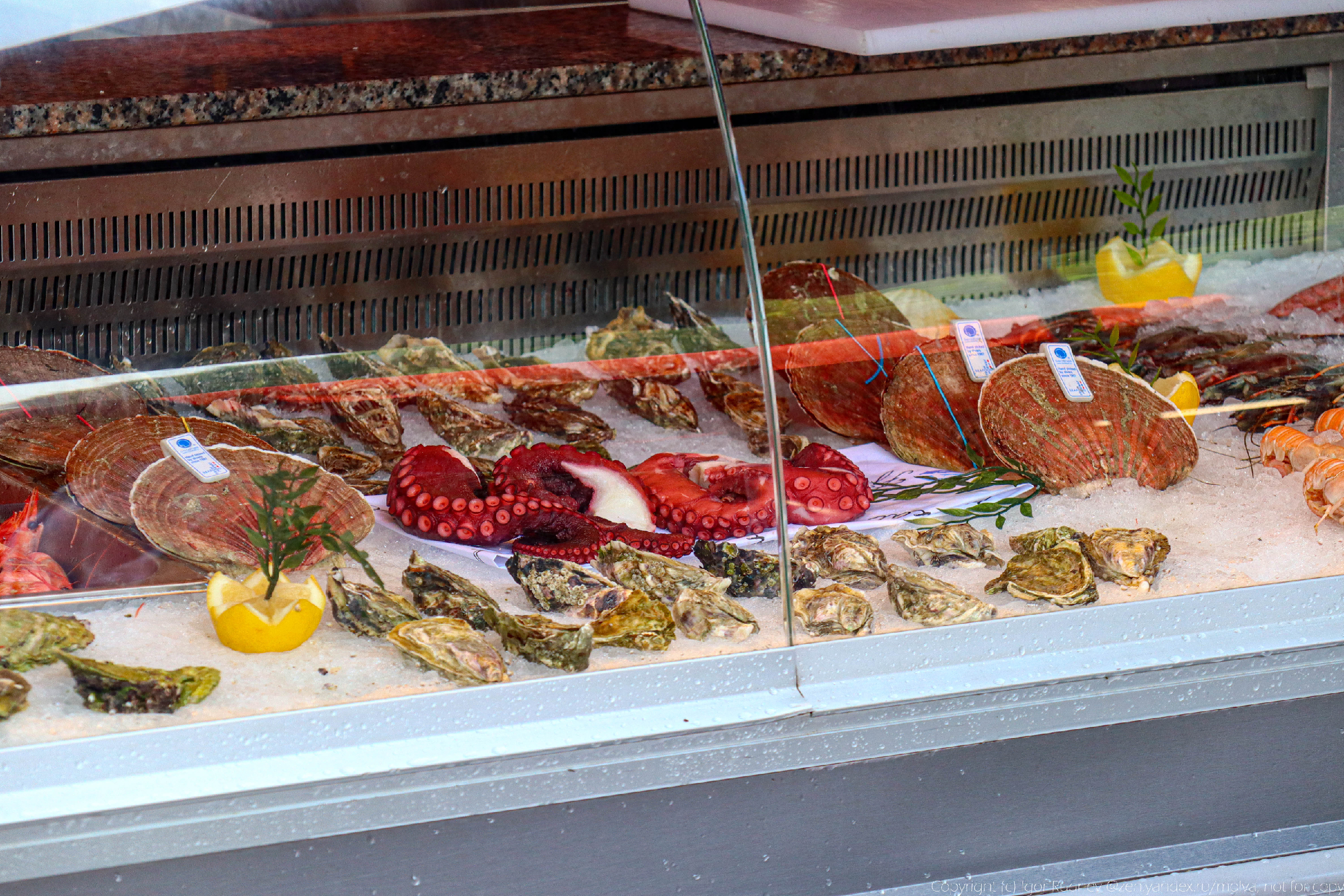 Что продают на рыбном рынке в Норвегии? Просьба не смотреть на цены2