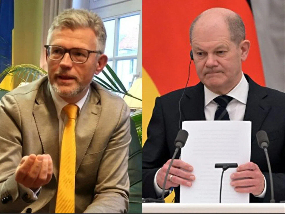 Фото из интернета.