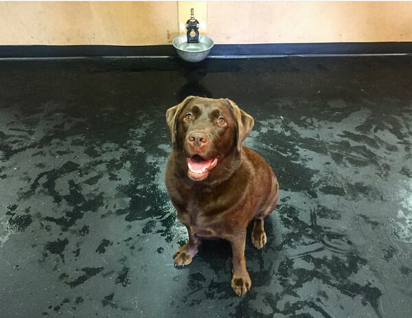 Фото © Reddit / xoxlindsaay