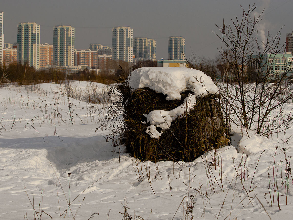 Скрадок зимой