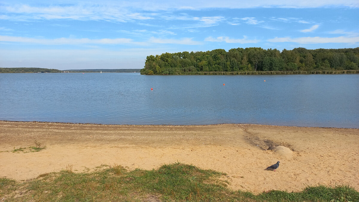 Пляж, пляж, Московская область, городской округ Солнечногорск, территориальное у
