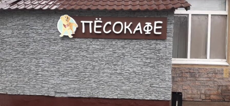 Пёсокафе в Уфе 