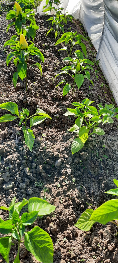 Фото из личного архива. 