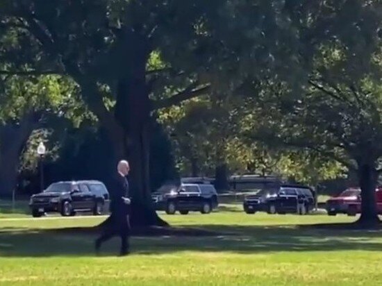   Кадр из видео