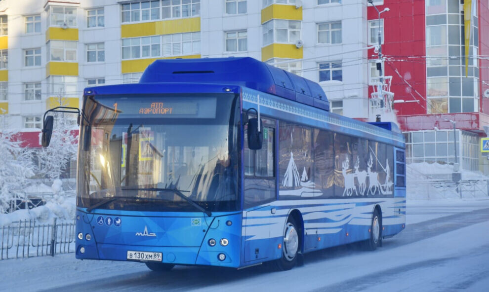    В России появились 2 новых дорожных знака для автобусов и электромобилей