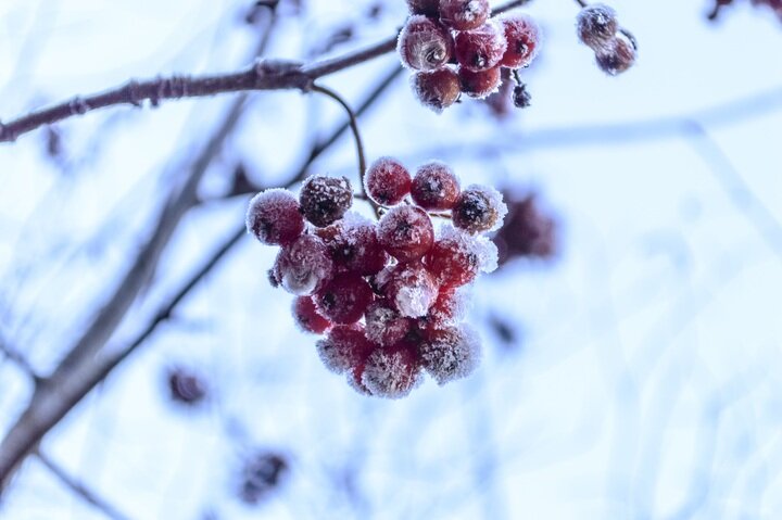    Photo by form PxHere