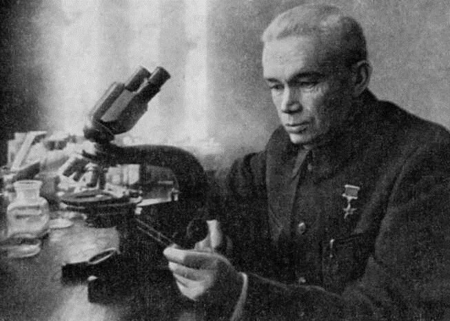 Академик Богомолец