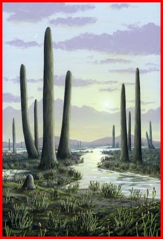 Вот именно так выглядела суша нашей планеты 450 млн лет назад. Грибы прототакситы