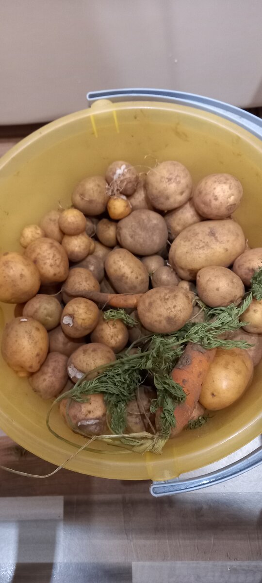 Вот это злополучное ведро