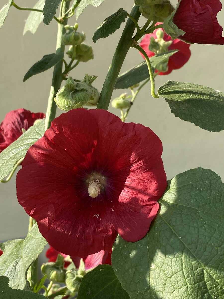 Личное, летнее