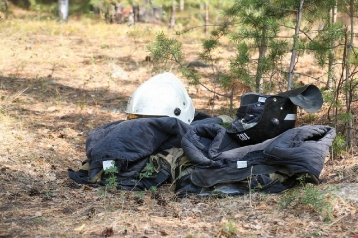    В Свердловской области завершен пожароопасный сезон