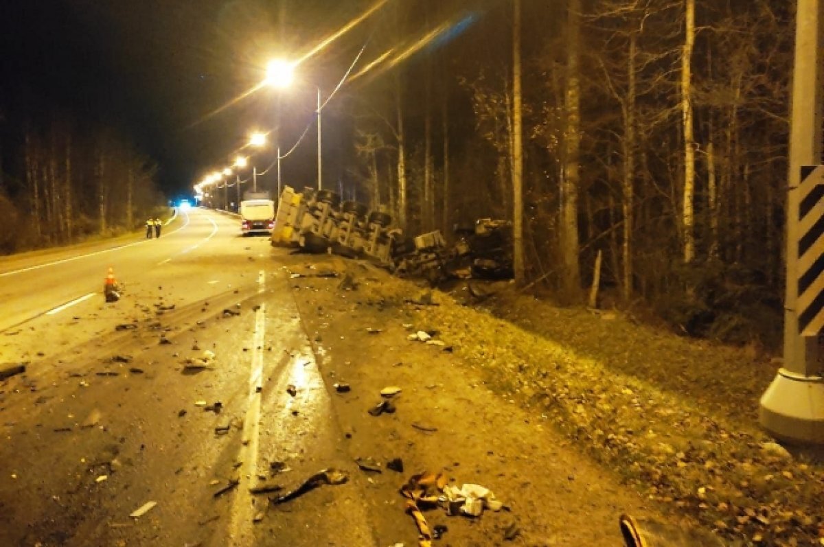    Житель Тверской области погиб в ДТП с фурой на дороге под Санкт-Петербургом