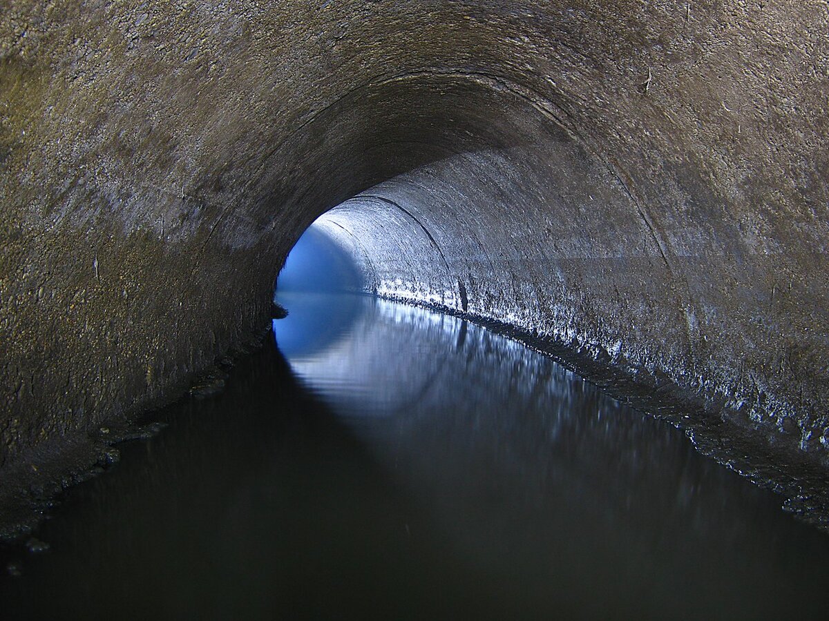 Яндекс.Картинки