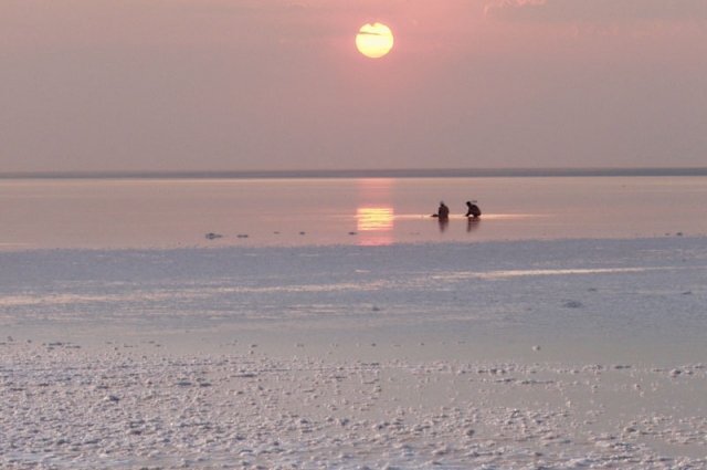    На каком этапе скандальная история с передачей в концессию «Эльтона»?
