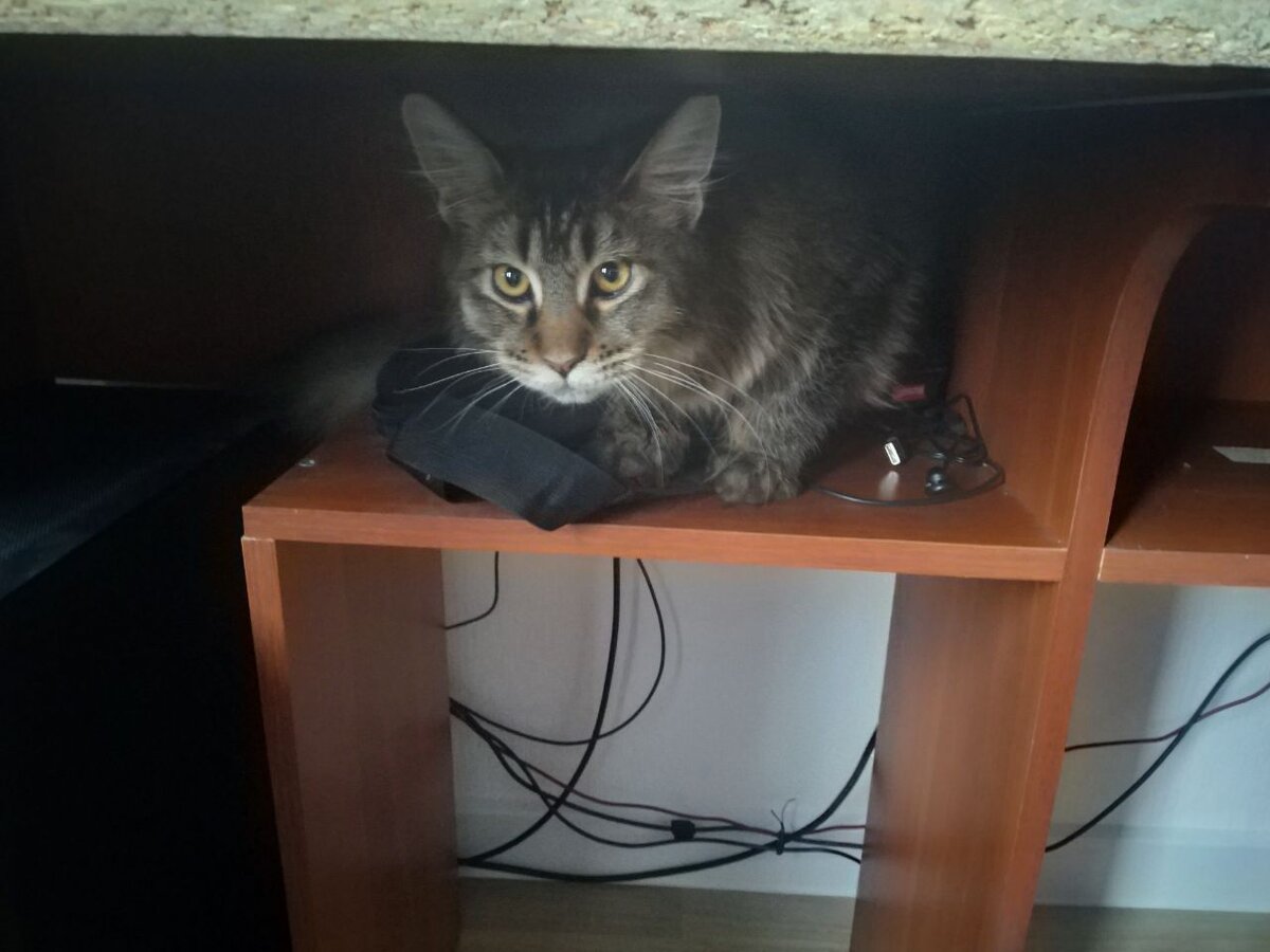 Урсула не одобряет