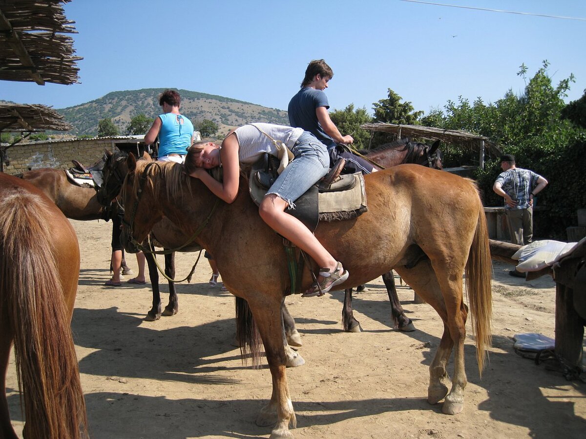 Конная прогулка, стертая рана от неправильной одежды проходила в течении 2х лет 