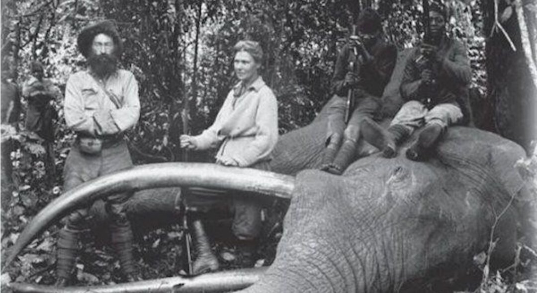 Датский клуб путешественников в Южной Африке. 