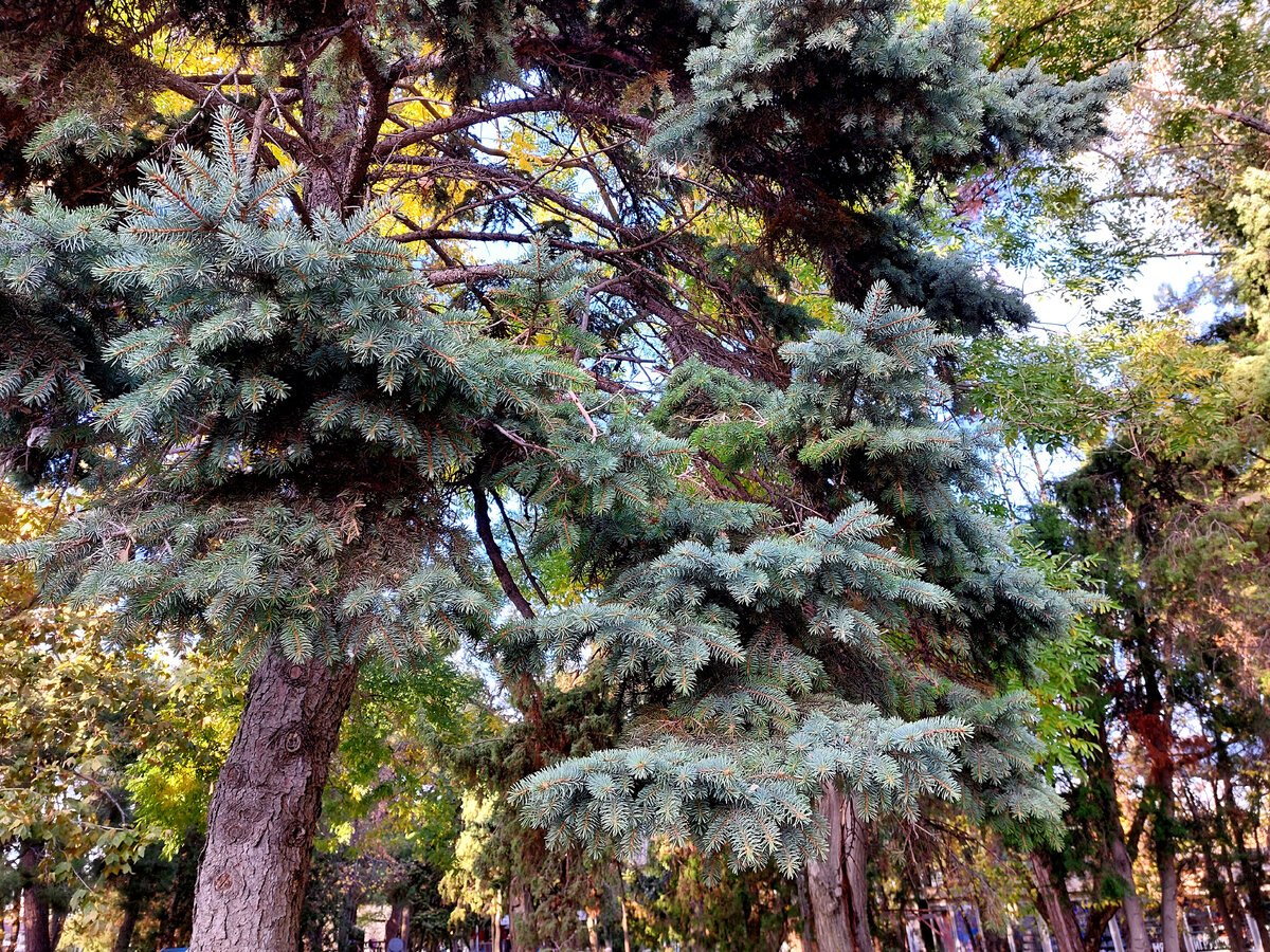 фото автора анапа