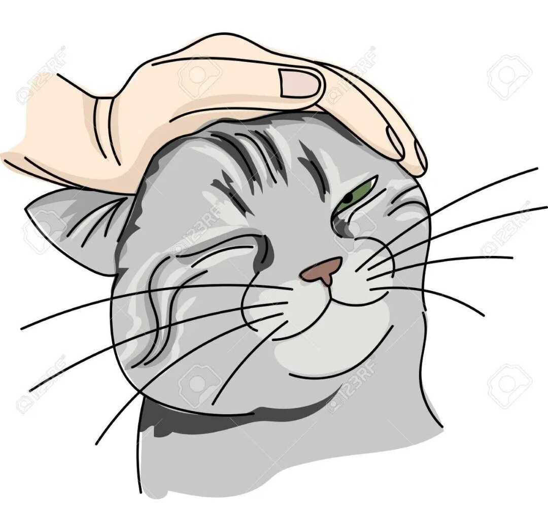 Картинка взята из интернета 