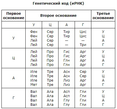 Определите последовательность полипептидной цепи. Аминокислоты ДНК И РНК таблица. Таблица генетического кода ИРНК И ТРНК. Генетика таблица аминокислот. Таблица аминокислот ИРНК.