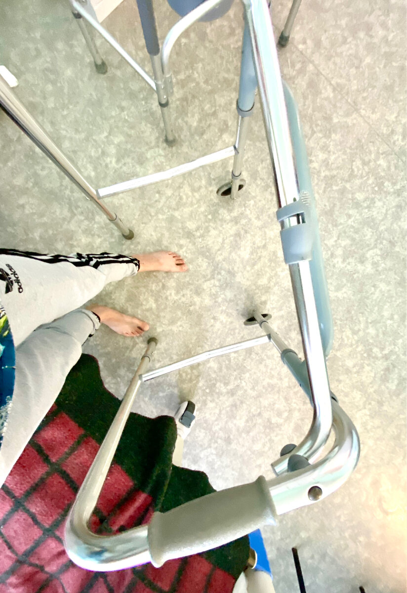 Дневник Надежды 2022 г 