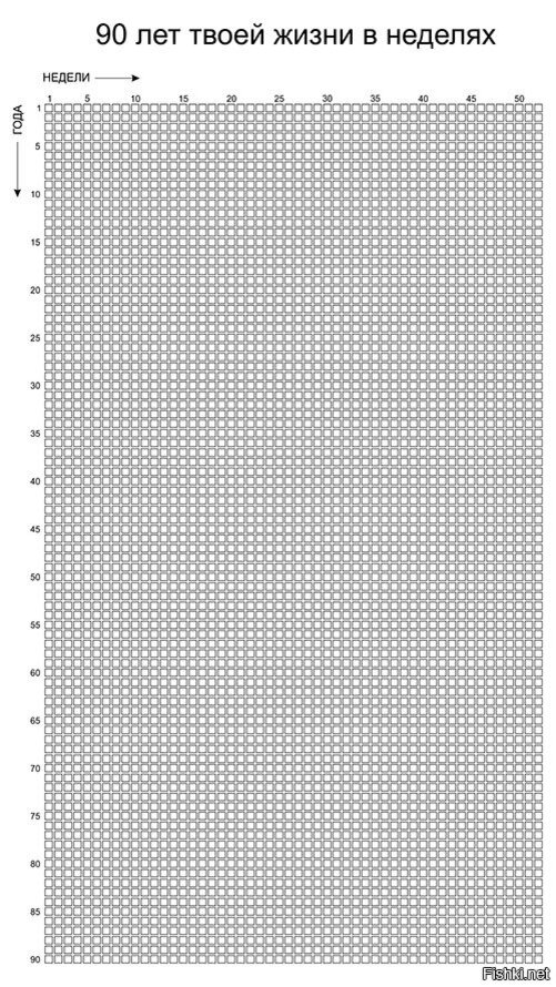 Как на самом деле выглядит жизнь в неделях