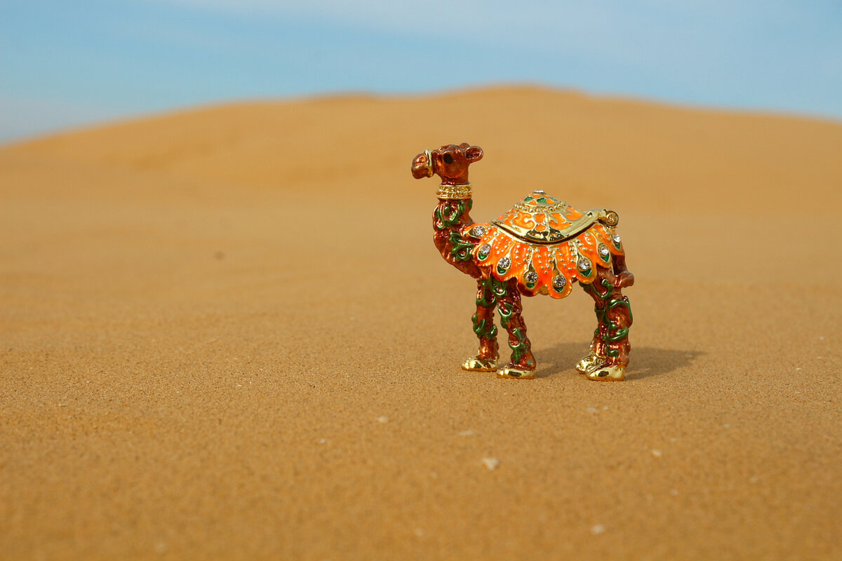  Склон бархана в Астраханской области в октябре 2022 года, фото автора