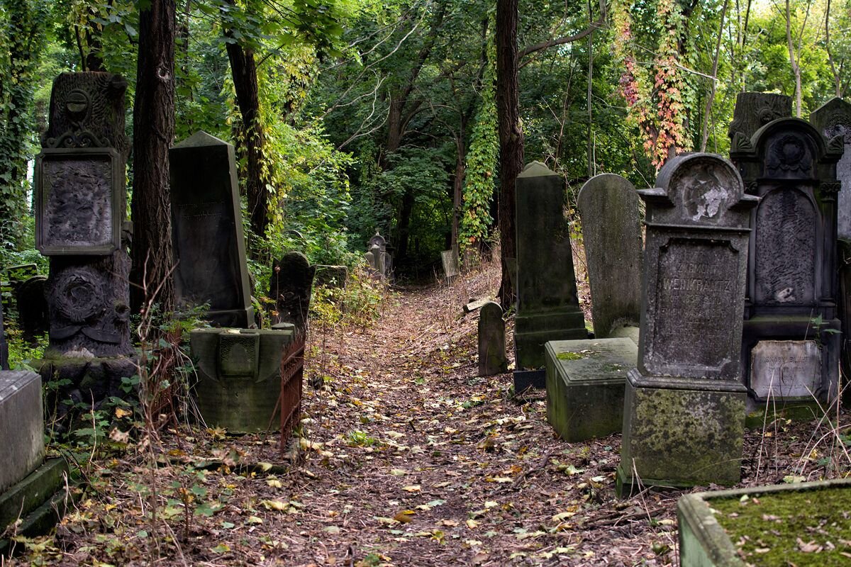 Фото старых могил. Заброшеные кладбища России. Гросс Фреденвальде кладбище. Заброшенное кладбище. Старое кладбище.